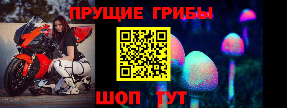 Нягань  Псилоцибиновые грибы Psilocybe  Вход с VPN 